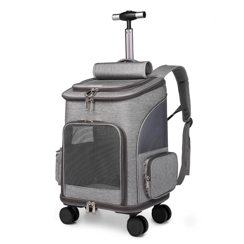 Falt-Trolley-Rucksack Shila