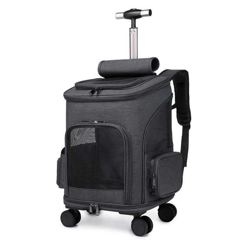 Falt-Trolley-Rucksack Shila