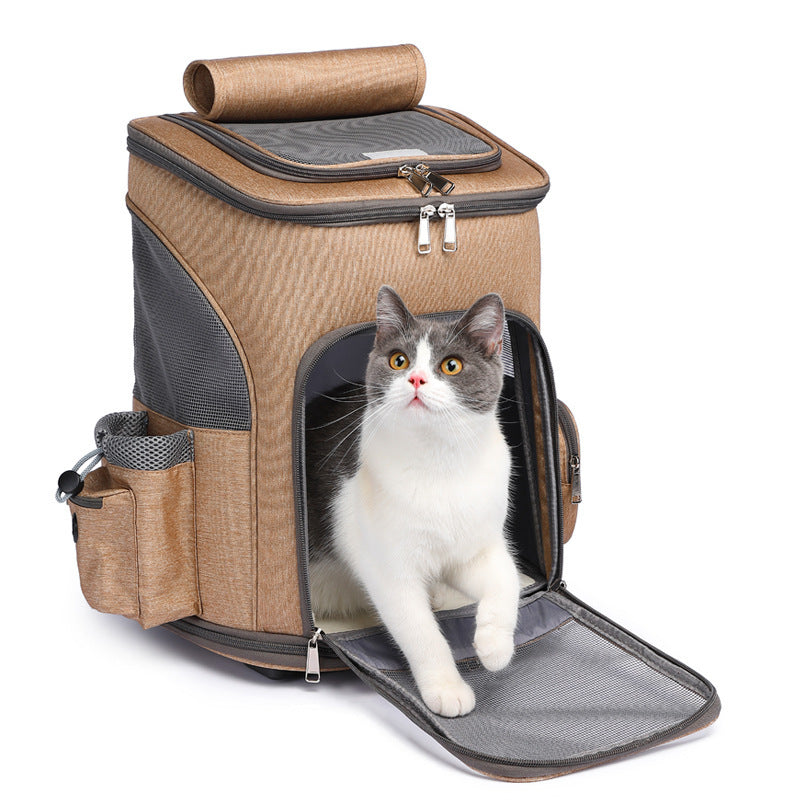 Falt-Trolley-Rucksack Shila
