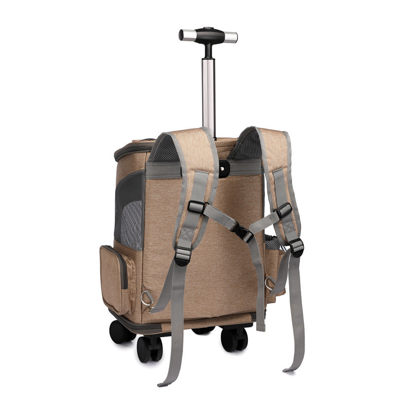 Falt-Trolley-Rucksack Shila