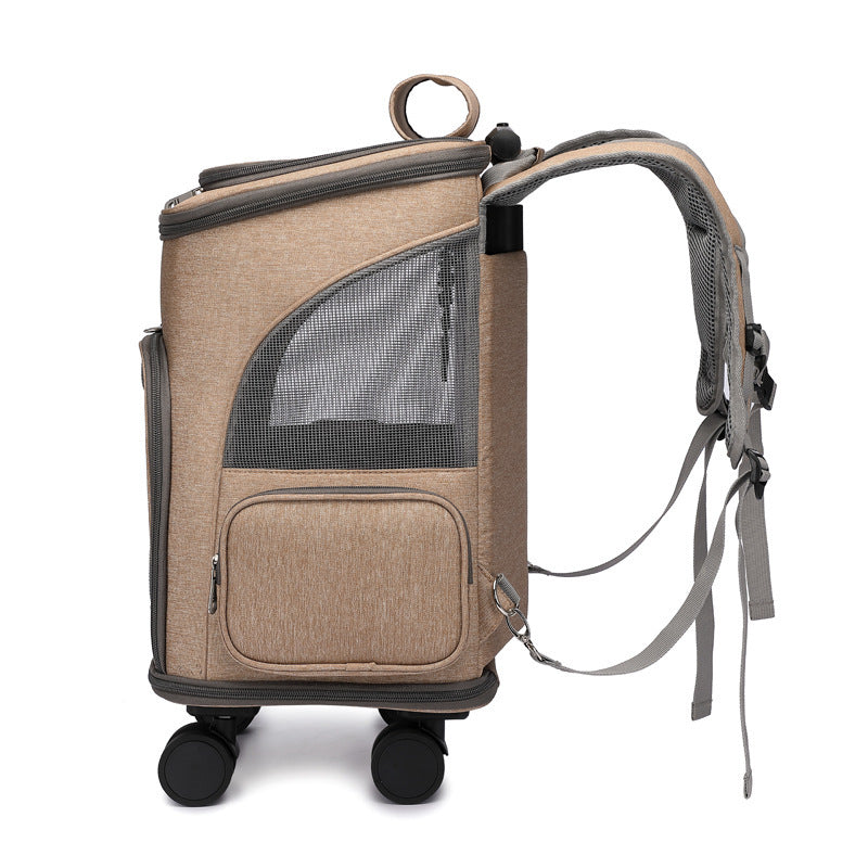 Falt-Trolley-Rucksack Shila