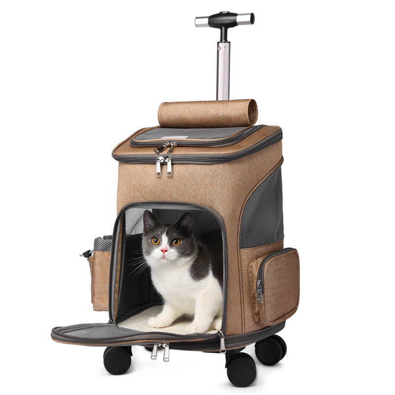 Falt-Trolley-Rucksack Shila