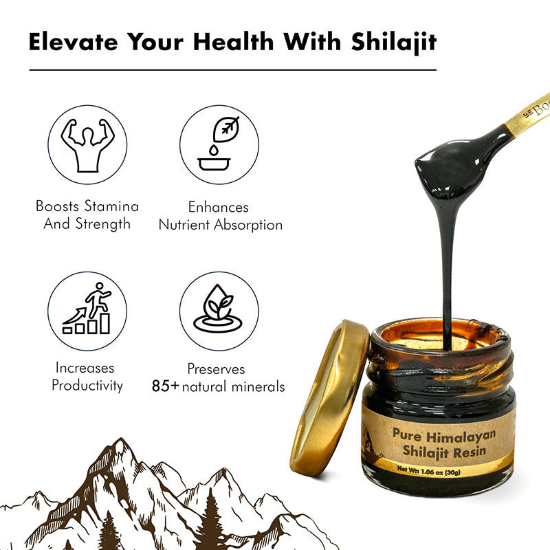 Pures Himalaya Shilajit Harz