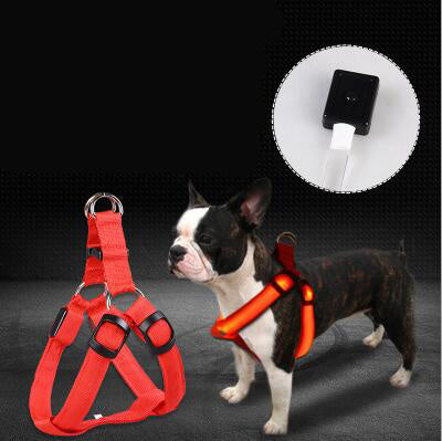 LED Hunde Geschirr