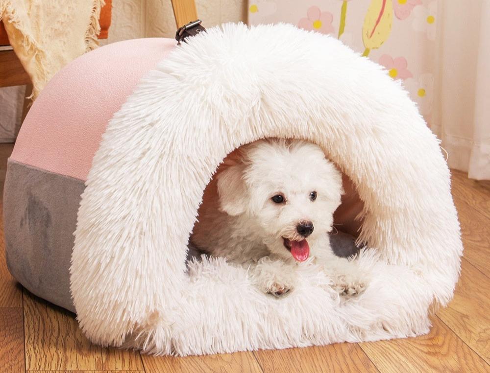 Hunde und Katzennest zum Träumen